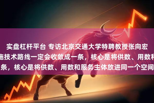 实盘杠杆平台 专访北京交通大学特聘教授张向宏：未来国家数据基础设施技术路线一定会收敛成一条，核心是将供数、用数和服务主体放进同一个空间