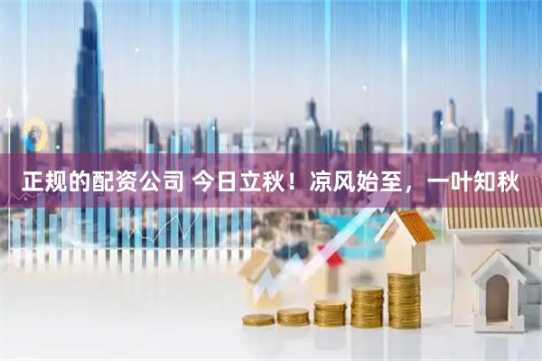 正规的配资公司 今日立秋！凉风始至，一叶知秋