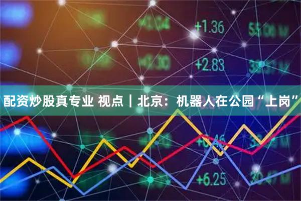 配资炒股真专业 视点｜北京：机器人在公园“上岗”